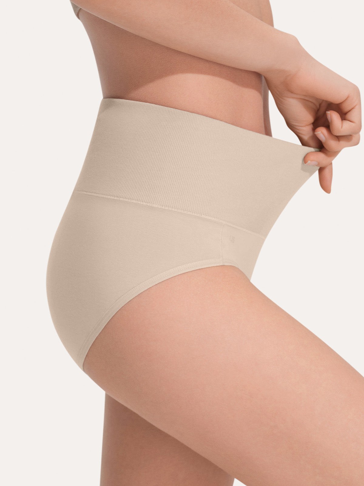 Pure Cotton Wide Elastic Band High-Waisted Brief (2-Pack)