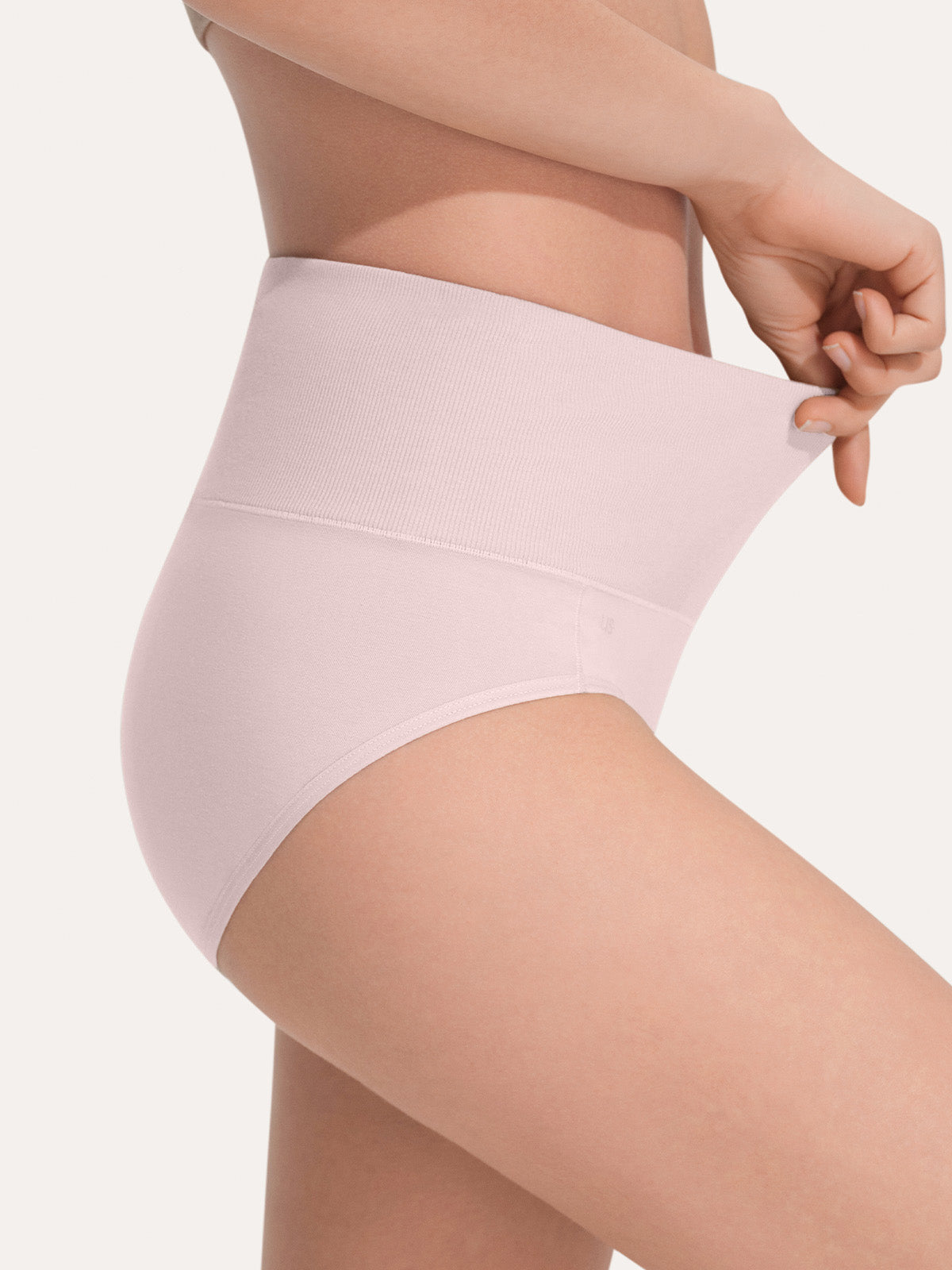Pure Cotton Wide Elastic Band High-Waisted Brief (2-Pack)