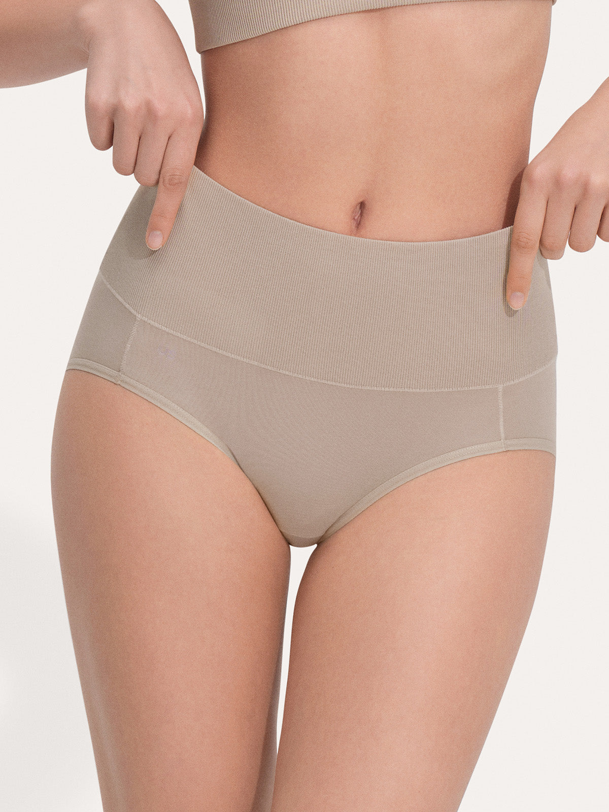 Pure Cotton Wide Elastic Band High-Waisted Brief (2-Pack)